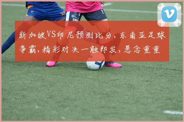 新加坡VS印尼预测比分,东南亚足球争霸,精彩对决一触即发,悬念重重