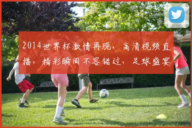 2014世界杯激情再现，高清视频直播，精彩瞬间不容错过，足球盛宴等你来观