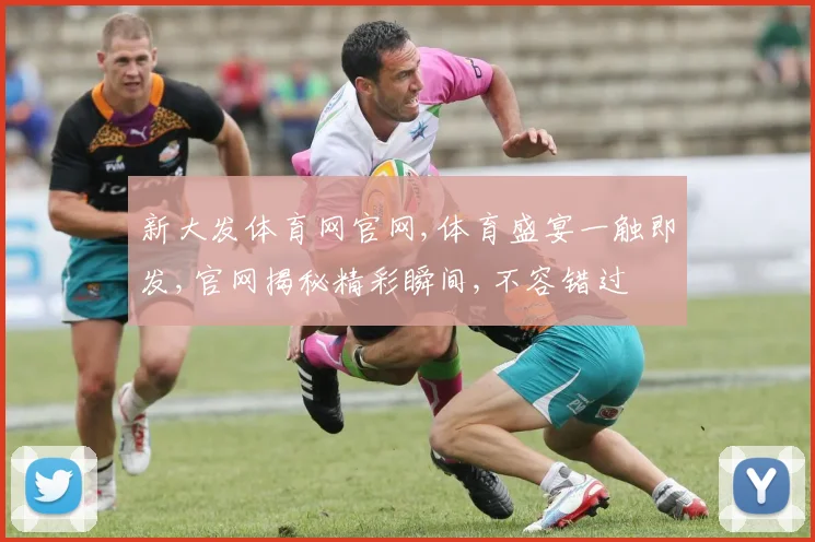 新大发体育网官网,体育盛宴一触即发,官网揭秘精彩瞬间,不容错过