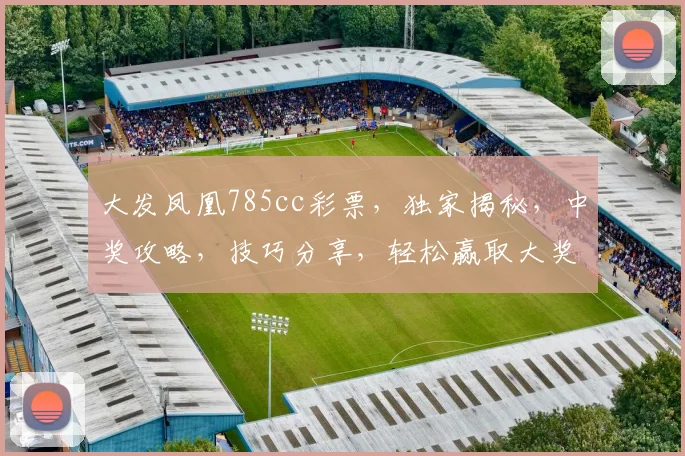 大发凤凰785cc彩票，独家揭秘，中奖攻略，技巧分享，轻松赢取大奖，不容错过