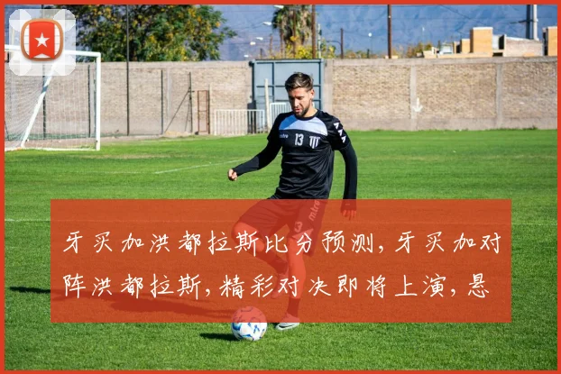 牙买加洪都拉斯比分预测,牙买加对阵洪都拉斯,精彩对决即将上演,悬念重重