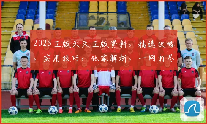 2025正版天天正版资料，精选攻略，实用技巧，独家解析，一网打尽