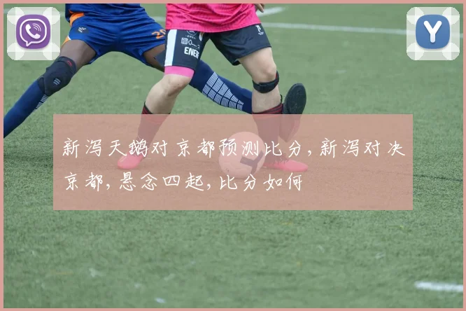 新泻天鹅对京都预测比分,新泻对决京都,悬念四起,比分如何